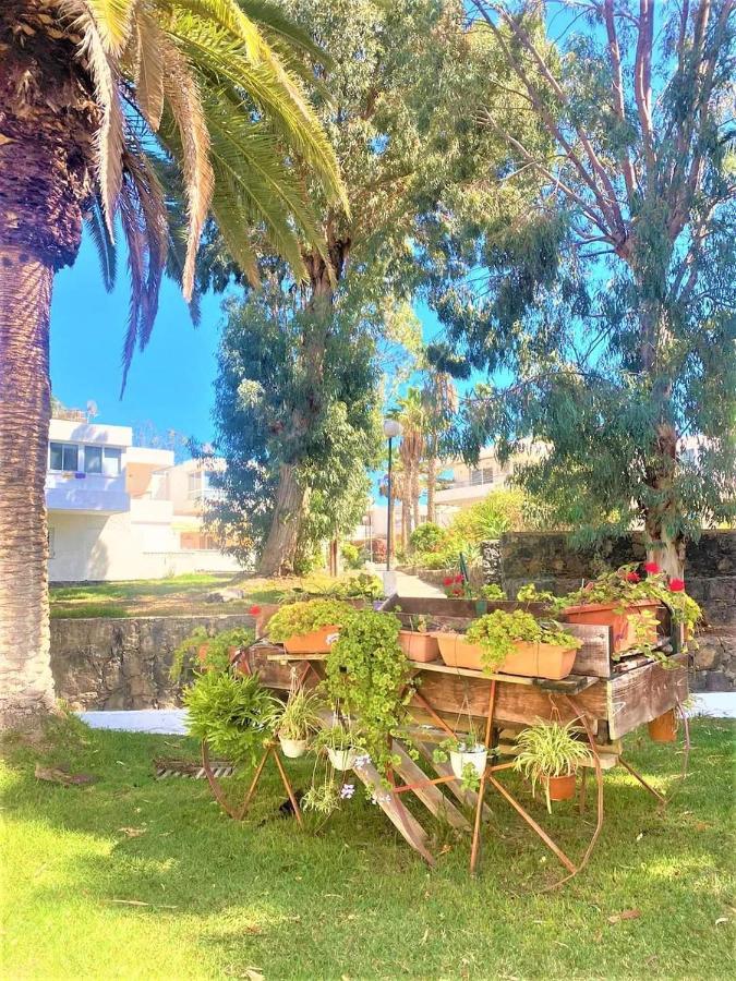 Marysol - Lovely Studio Tenerife Sur Арона Екстериор снимка